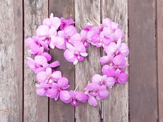 pink flowers on wooden background