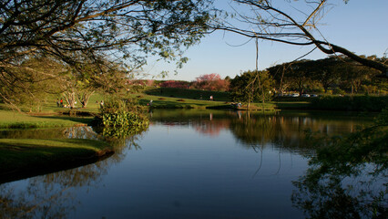 Curitiba, Paranà State, Brazil, July 2009: A beautiful landscape of the Botanical Garden Park with reflections.