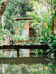 Modern house with forest environment