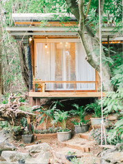 Modern house with forest environment