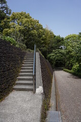 初夏の日差しと新緑と階段