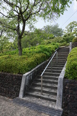 初夏の日差しと新緑と階段