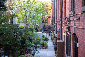 Fototapeta premium Mews in Brooklyn. Rows or courtyard of apartment buildings with lawn and trees in the middle