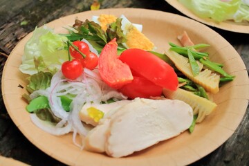 アウトドアで食べる鶏ハムサラダ