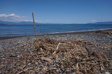 初夏の日差しと青い海