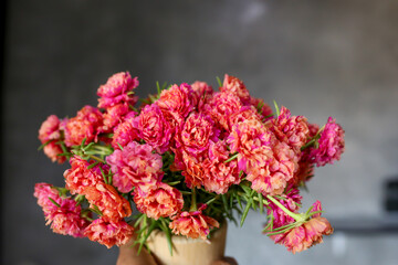 Pink and Red flowers. Portulaca Grandiflora, japanese rose. Beautiful sun plant.