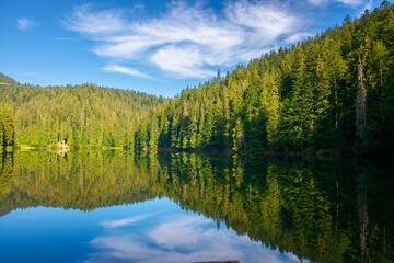 Fototapeta na wymiar mountain lake in the morning. summer landscape with forest reflecting in the water. nature scenery of Synevyr National park in Carpathian mountains, ukraine. sunny weather with clouds on blue sky