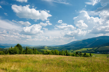 Fototapeta na wymiar carpathian mountain rural landscape in summer. forest on the grassy meadow. fields and pastures on the distant hills. sunny scenery with fluffy clouds on the blue sky in afternoon light