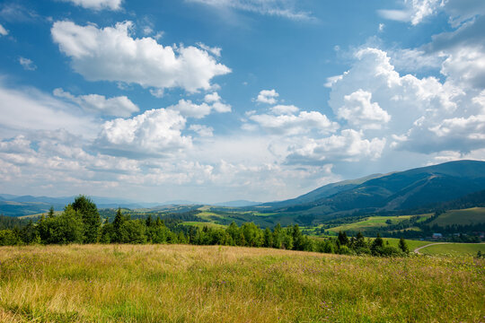 carpathian mountain rural landscape in summer. forest on the grassy meadow. fields and pastures on the distant hills. sunny scenery with fluffy clouds on the blue sky in afternoon light