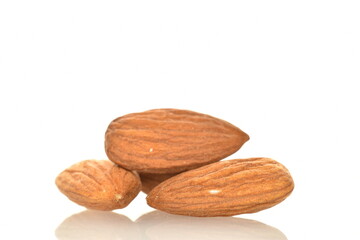 Several grains of peeled raw, organic almonds, close-up, isolated on white.
