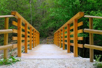 Fototapeta na wymiar wooden bridge in trekking path