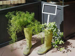 Old rubber boots used as plant pots. There is a small chalkboard to use for writing a message.
