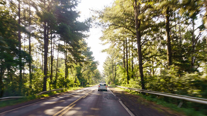 Obraz premium Road trip in the forest. Motion blur by speed