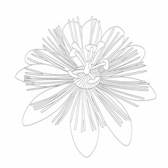 Abstract plant one line drawing. Hand drawn modern minimalistic design for creative logo, icon or emblem. Editable line