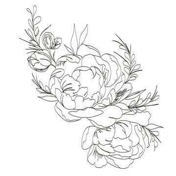 Peony Line drawing. Flower Line art vector. Peonies Botanical logo