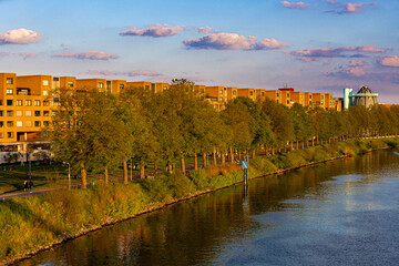 Fototapeta na wymiar Row of trees and flats covered by the golden colours of the sun during sunset alongside the waterfront of the river Meuse in Maastricht. The sun reflects the river quay in the water