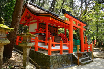 Fototapeta na wymiar Wakamiya Shrine (Jinja) at Kasugataisha Shrine in Nara prefecture, Japan - 日本 奈良 春日大社 若宮神社