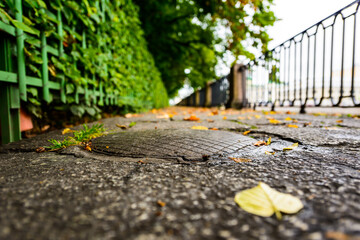 Rainy autumn day in the city, an alley in the park running along the embankment. Close up view of a hatch at the level of granite pavement