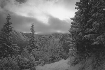 Monochrome winter wonderland in Tatras, Poland. High Tatra National Park covered with snow. Clouds over mountain peaks and fir forest. Selective focus on the trail, blurred background.