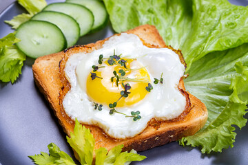 Fried egg sunny side up on whole wheat toast with salad and microgreens