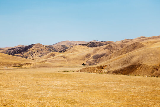 Golden Rolling Hills Of The Diablo Range In California