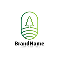 Simple line art evergreen pine tree logo design vector image.