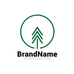 Simple line art evergreen pine tree logo design vector image.
