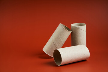 An empty cardboard toilet paper tube close up