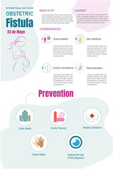 Infographic about obstetric fistula 
 with the description of what it is, causes, consequences and prevention with its corresponding icons.vectorial illustration