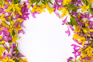 frame consisting of many small twigs with yellow and pink spring flowers arranged in a chaotic manner on a white background 