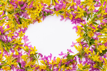 frame consisting of many small twigs with yellow and pink spring flowers arranged in a chaotic manner on a white background 