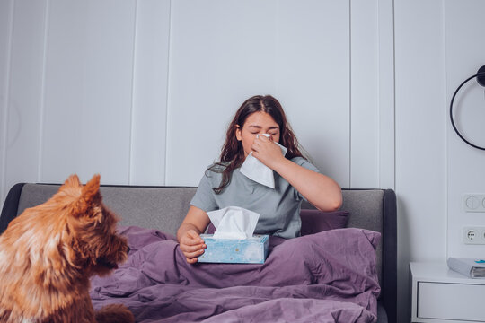 young woman sneezes, she has allergy reaction on her pet