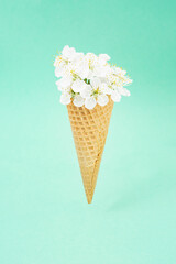 Ice cream waffle cone, filled with spring apple flowers, floating and isolated on light blue, beautiful floral decoration, vintage color