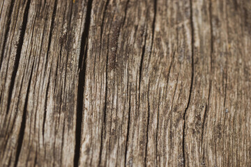 rustic wood texture, old wood texture with natural factors in nature, background.