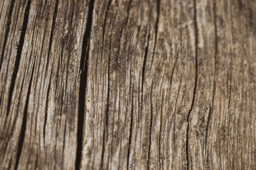 Obraz premium rustic wood texture, old wood texture with natural factors in nature, background.