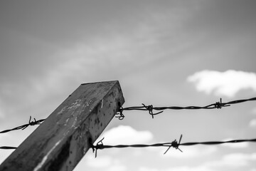 barbed wire against the sky