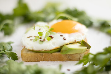 toast with avocado, microgreens, parsley and fried egg