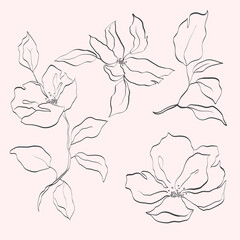Vector line flower isolated. Element for design. Hand-drawn contour lines and strokes.