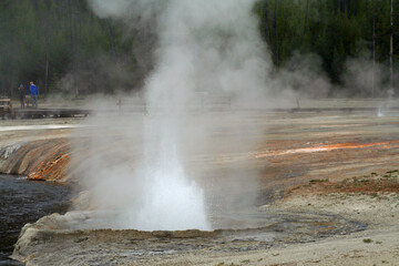 Geyser in Yellowstone National Park