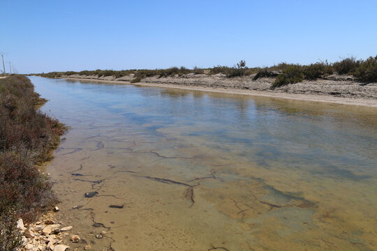Beauduc Camargue