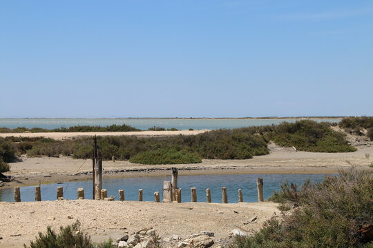 Beauduc Camargue
