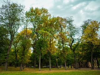 Naklejka premium autumn in the park