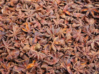 Chinese star anise fruit from dried to herb can be used as medicine.