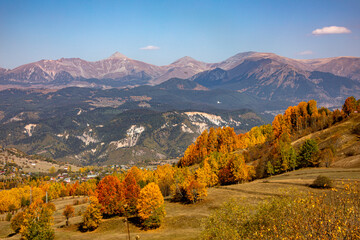 A panoramic shot of mesmerizing trees in Artvin, Turkey.