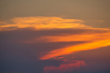 Beautiful sunset sunset sky. Twilight, clouds are colored yellow-orange. A lone bird. Natural background
