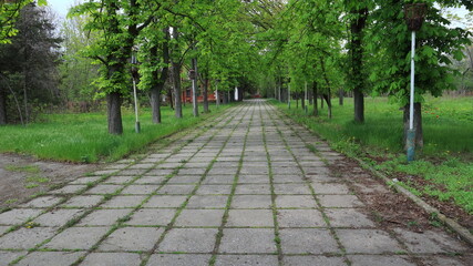 Large concrete paving slabs with overgrown grass in crevices and rusted lanterns in an abandoned park.