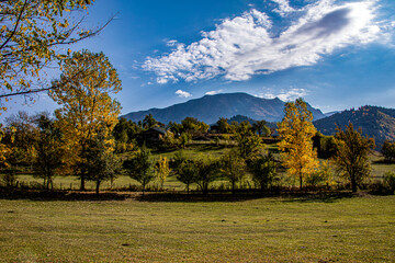 A panoramic shot of mesmerizing trees in Artvin, Turkey.