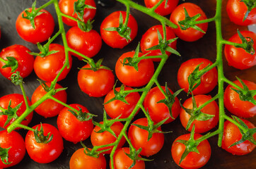 Covered with drops of water, fresh tomatoes with sprigs on wood