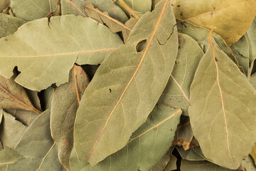 dry bay leaves background