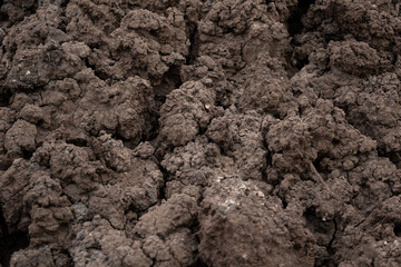 The texture of the background is from the excavated dried-up earth which lies lumps during the drought crackling in the natural browns of bumpy uneven shape. High quality photo